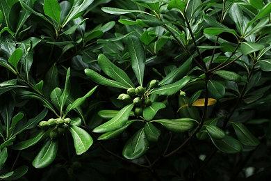 《热血少女2》发布新视频确定明年夏季全平台上市